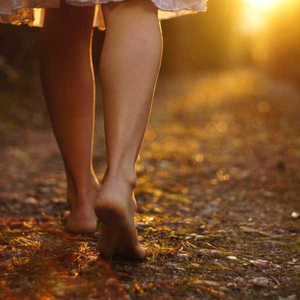 A Walk Through Life