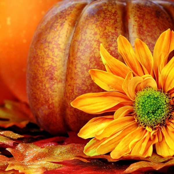 11 Awesome Fall Date Ideas