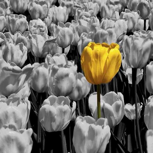 Is Separation Necessary For Personal Growth?