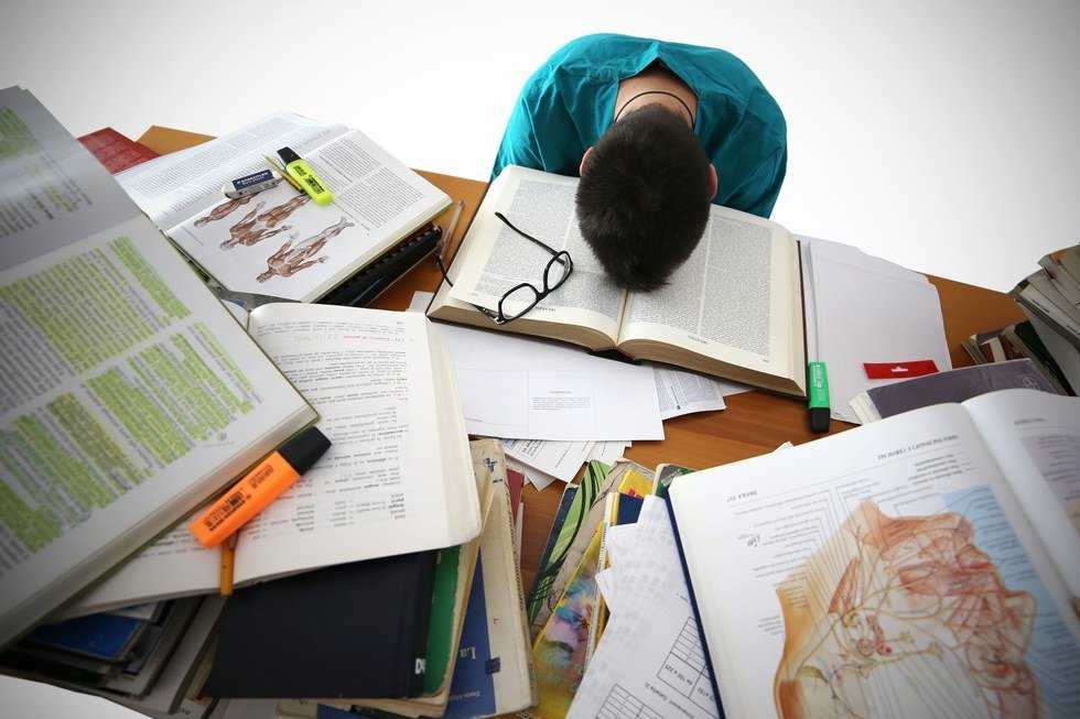 The Senior Struggle