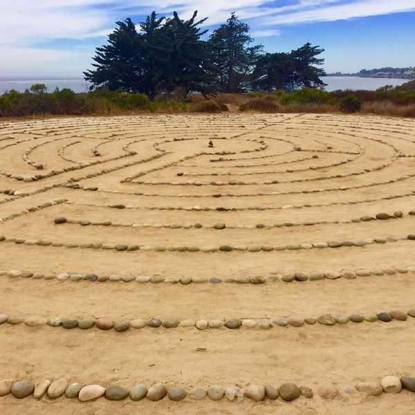 Are We Really Programmed To Choose Just One Thing?