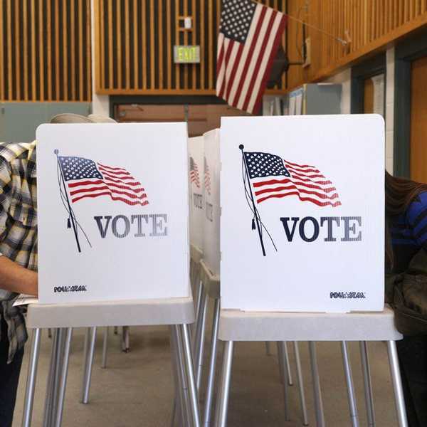 Everyone Should Vote