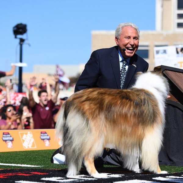 This Week In College Football