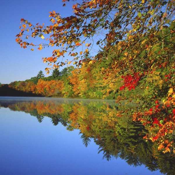 The Best Ways to Enjoy An Autumn Day