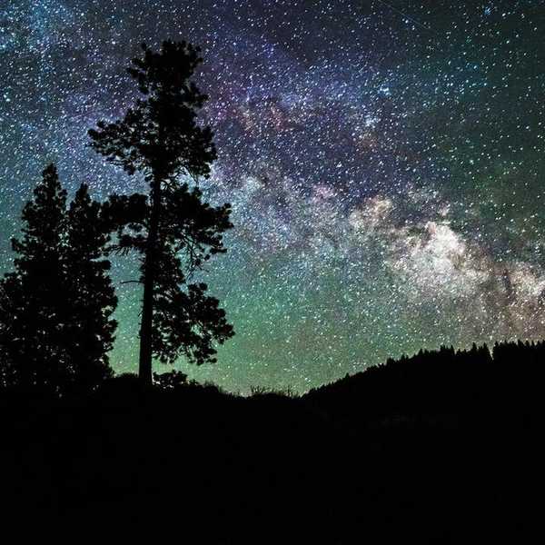 Starry Night