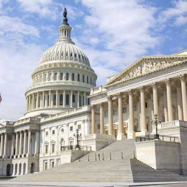 Why Politics Disgusts Me -- And Gave Me The Thick Skin I Didn’t Ask For