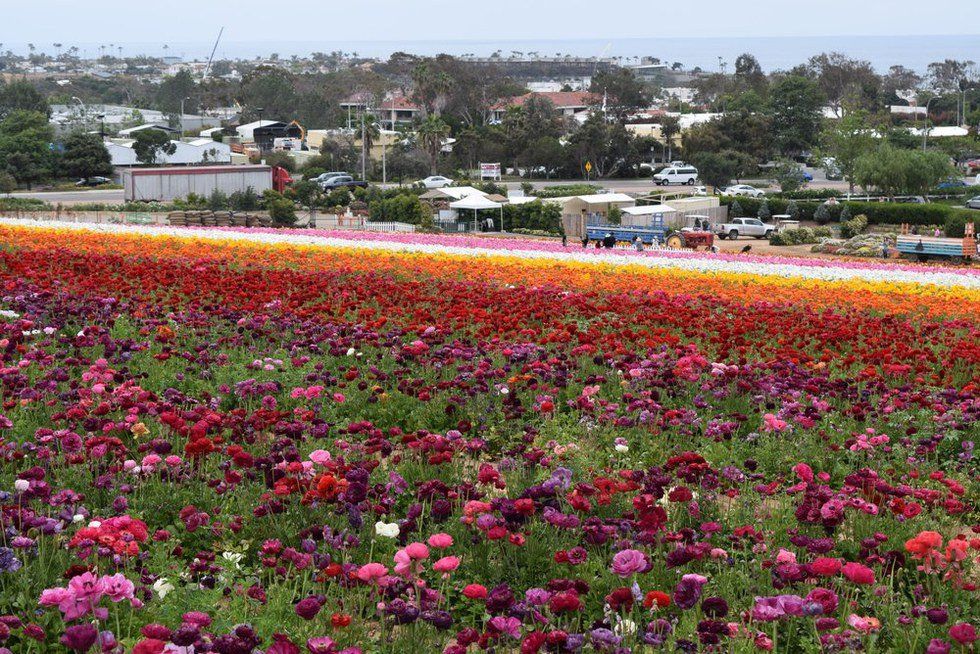 The Importance of Being Kind