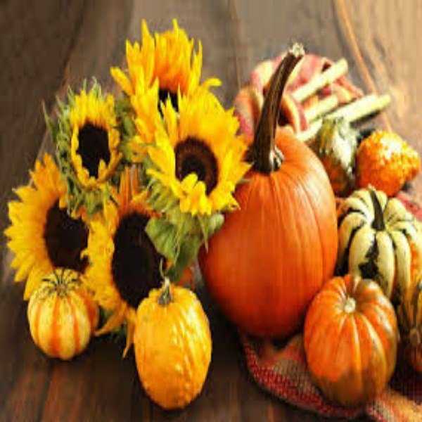 5 Things You Should Try This Fall