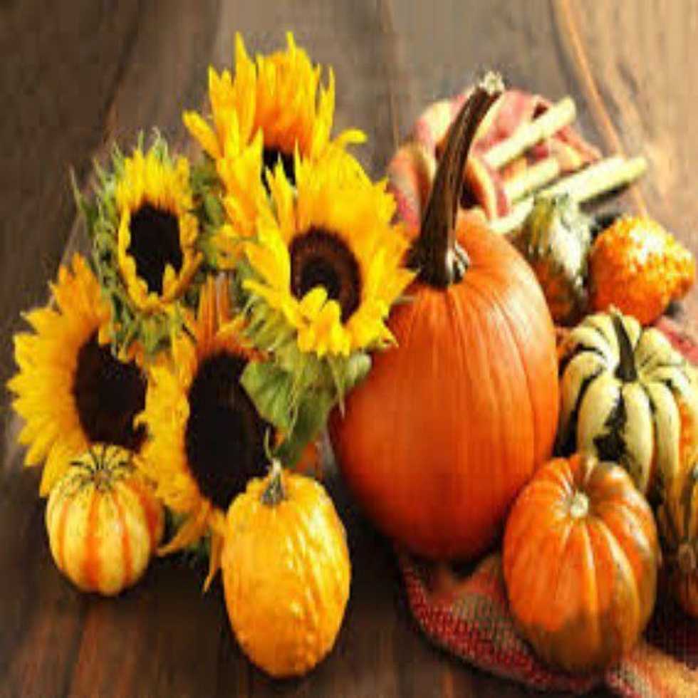 5 Things You Should Try This Fall