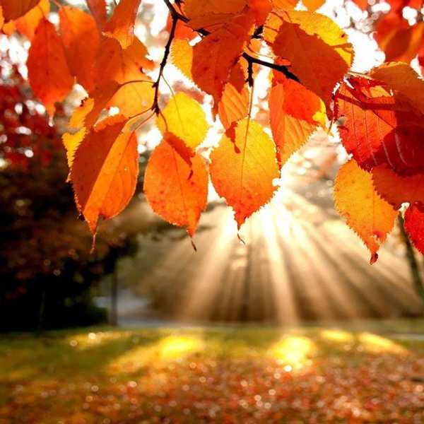 10 Reasons Autumn Is The Best Season
