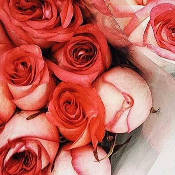 A Tribute To The Strongest Woman I've Ever Known