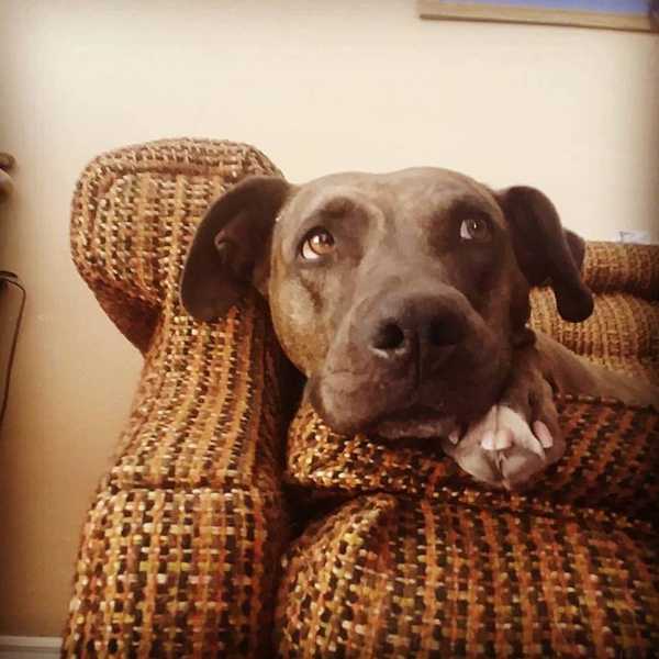 Kizzy's Story
