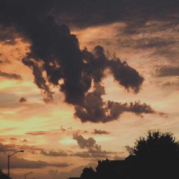 Why I Left Texas For College