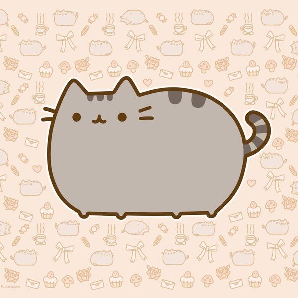 Make Your Own Pusheen Toy!