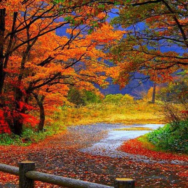 5 Fun Things To Do This Fall