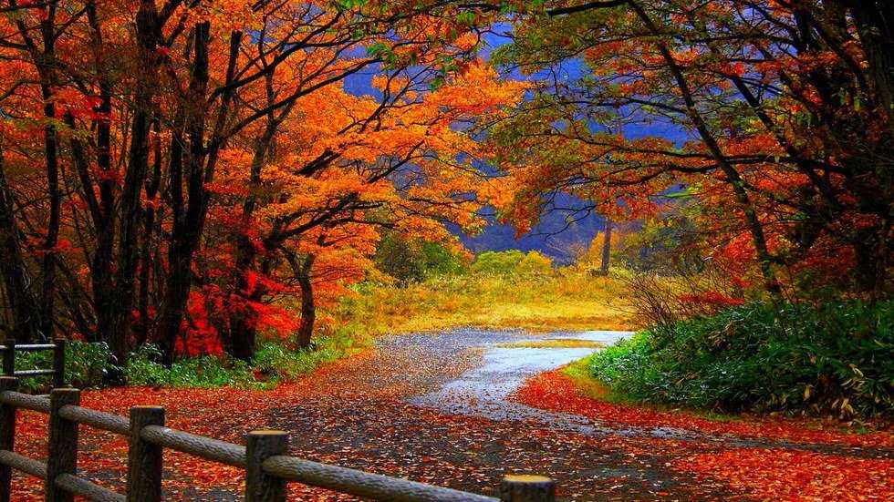 5 Fun Things To Do This Fall
