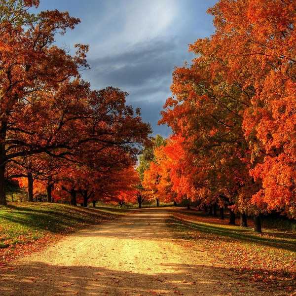 10 Fun Fall Activities