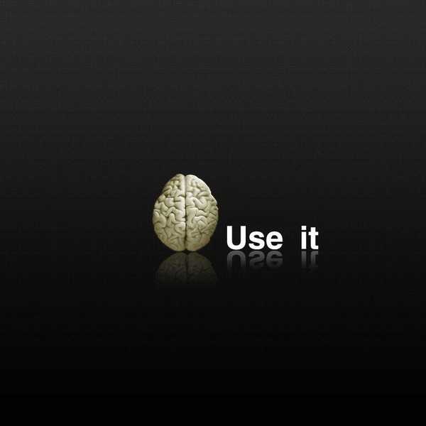 A Look Inside The Brain