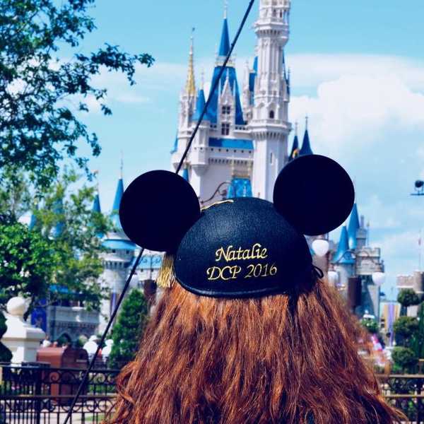 Not Just A Theme Park