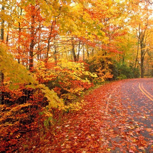 11 Things To Appreciate About The Fall