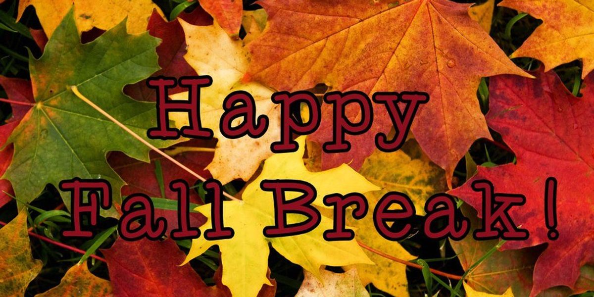 Break Back Fall 10 Feelings You Experience While Visiting Home for Fall Break | The ...