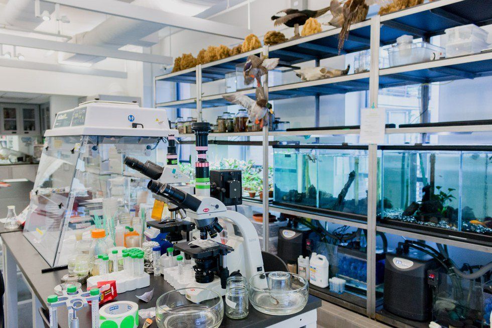 One Tidbit From Two Months Of Grad School