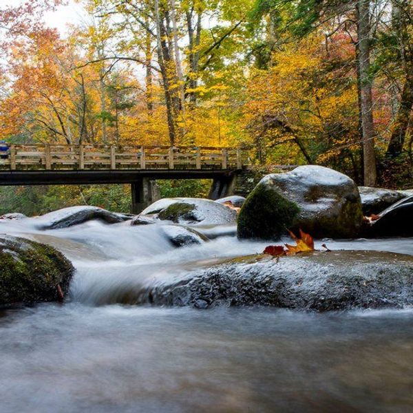 For When The Seasons Change