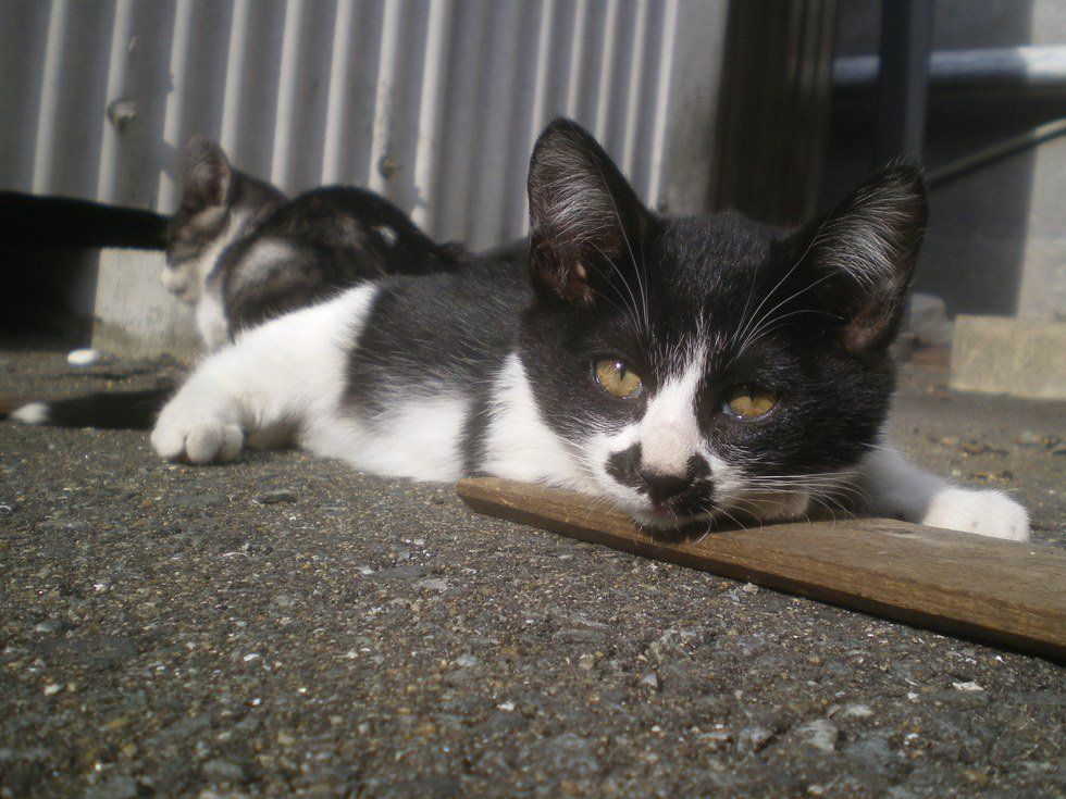 When Hardships Can Bring a True Family Together