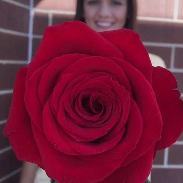 Run For The Roses Makes Deep Impact