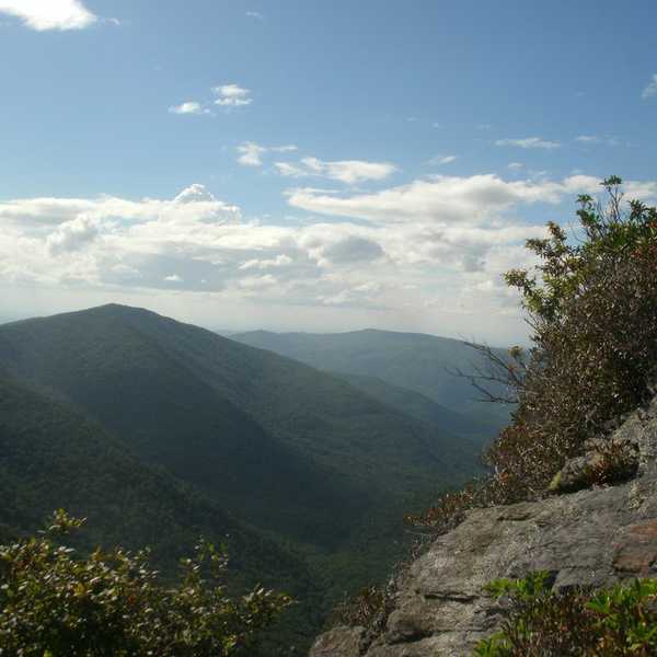 Methods of Maintaining Mental Health in College