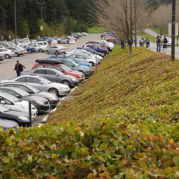 11 Steps To Getting A Spot In The WWU C Lots