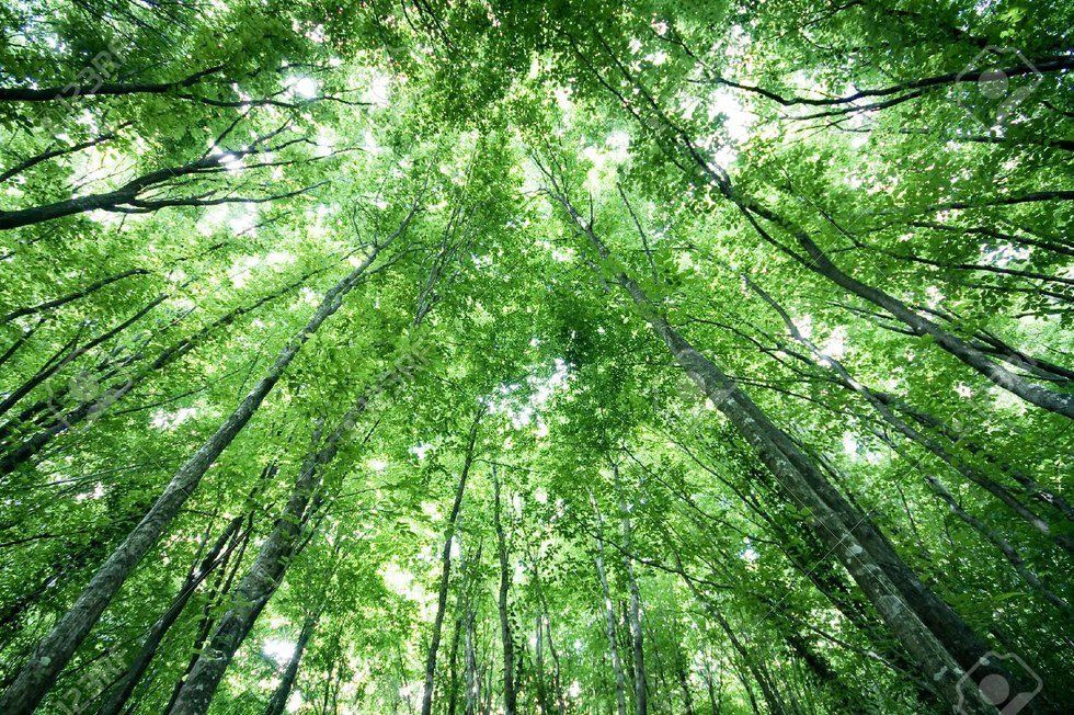 3 Reasons Your Alone Season Isn't As Bad As It Seems