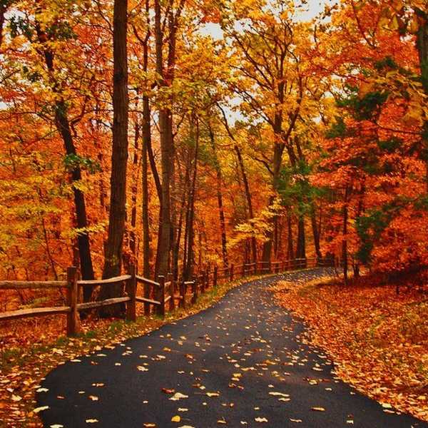 Reasons We All Love Fall