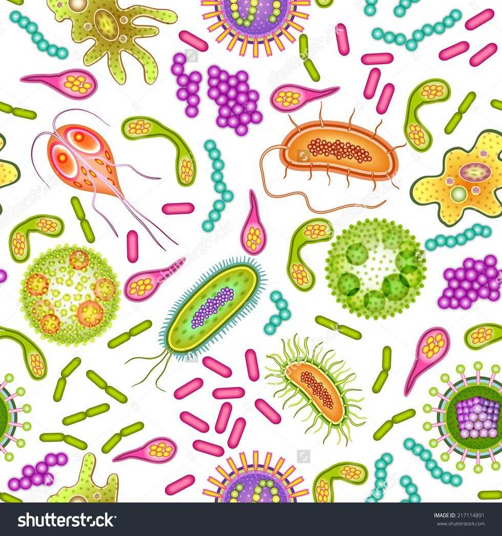 Bacterial Resistance Explained By Giant Petri Dish