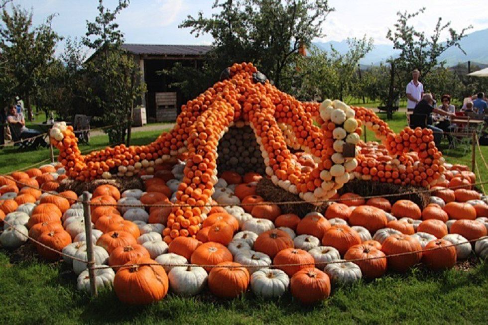 Top 10 Pumpkin Fun Facts