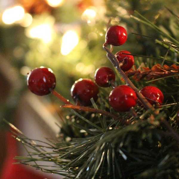 For Those Who are Already Hyped for the Holidays