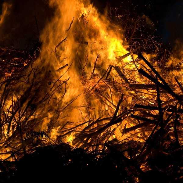 A Weather Channel Meteorologist Claimed Haitians Eat Trees