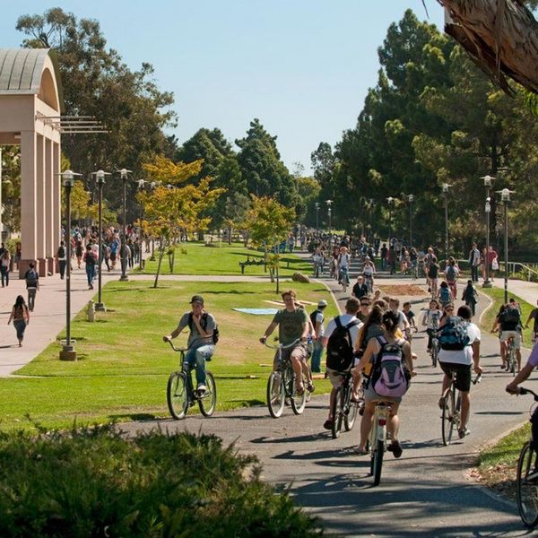 The Stages Of The First Month Of School