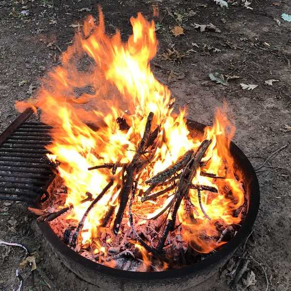 7 Reasons Why You Should Go Camping Today