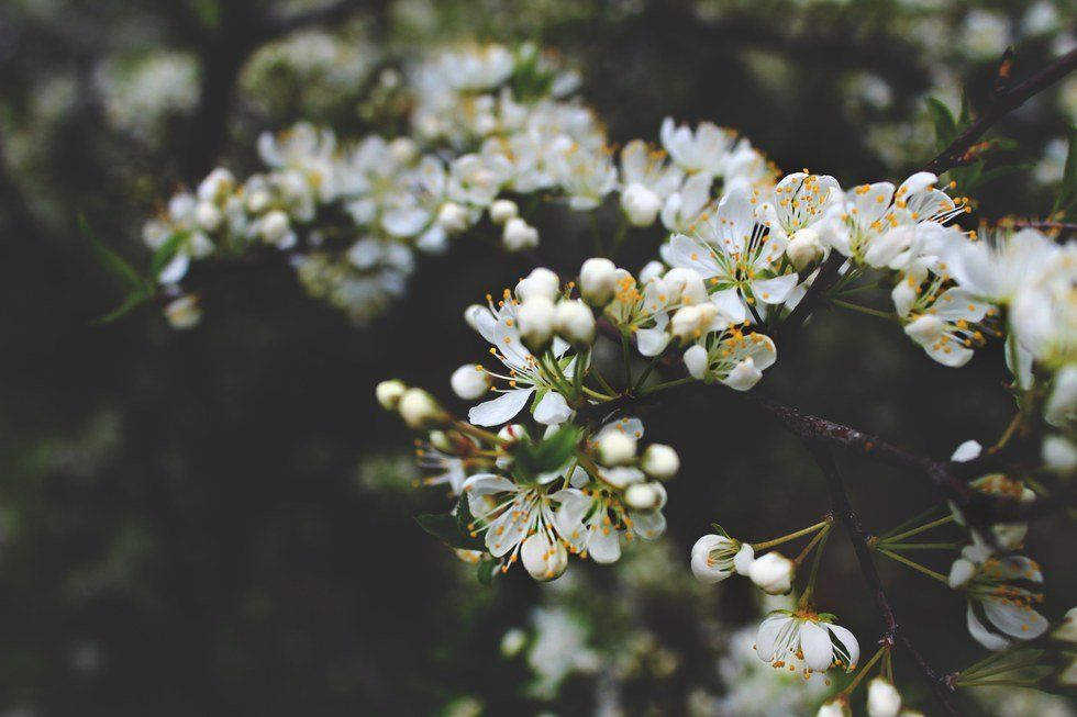 36 Yrsa Daley-Ward Quotes That Will Change Your Life