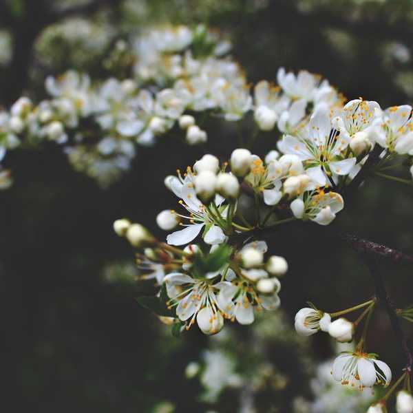 36 Yrsa Daley-Ward Quotes That Will Change Your Life