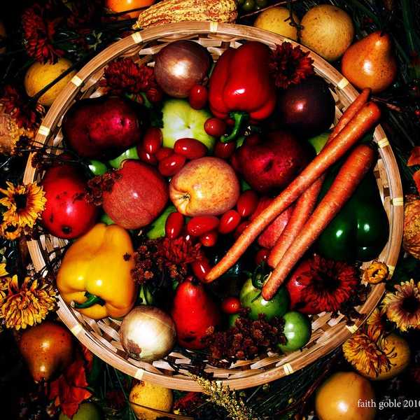 Best Produce for the Fall Season