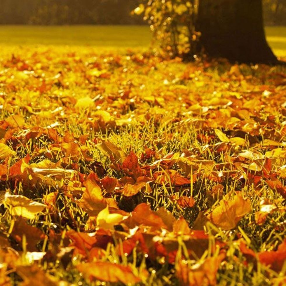 10 Reasons To Love Fall