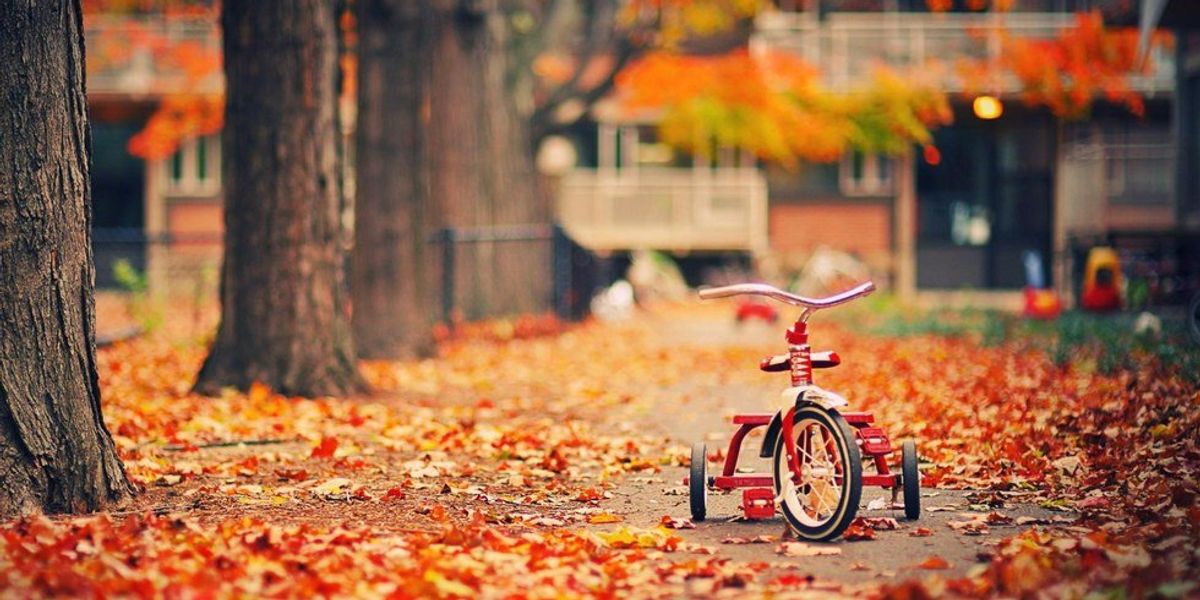 Fall Dislike 11 Reasons To Shamelessly Love Fall | The Odyssey Online