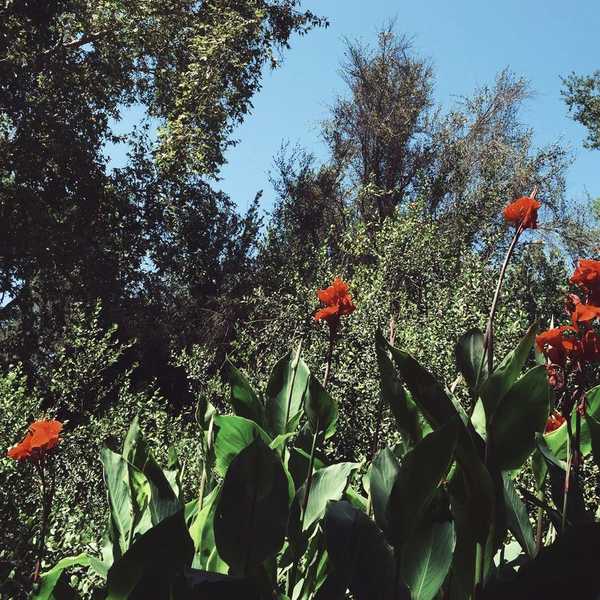 10 Things I Miss About Living At Home