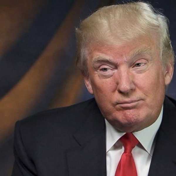 "Is his hair real?" and other questions about Trump