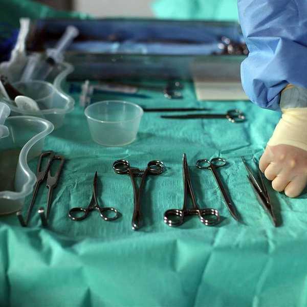 My Experience At A Cadaver Lab