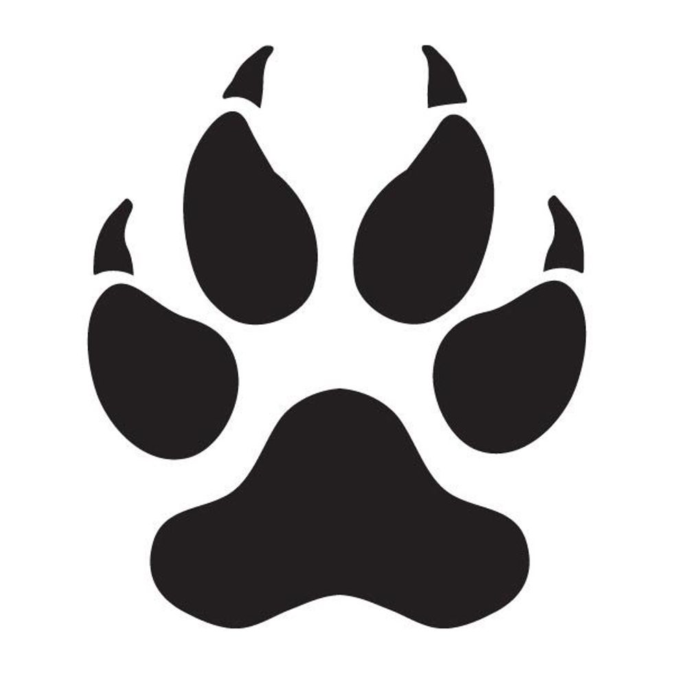 A Letter To My High School Friends