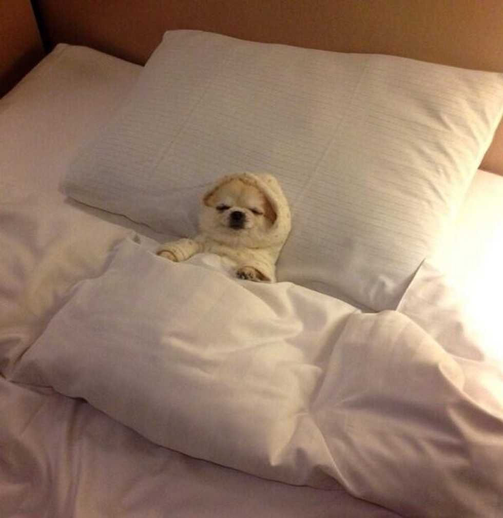 I'm Sleep Deprived And So Can You