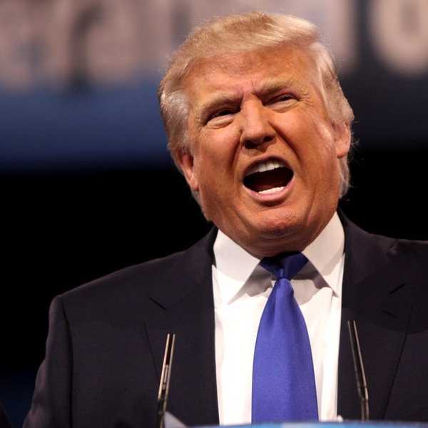 A Psychological Analysis Of Trump